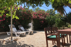 Garten3